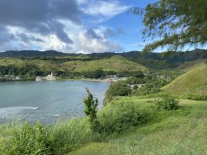 Overlooking water and buildings along the shores. Tree branches in the top right corner. Rolling hills and clouds in the background.